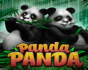 Panda Panda