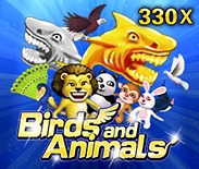 Birds And Animals